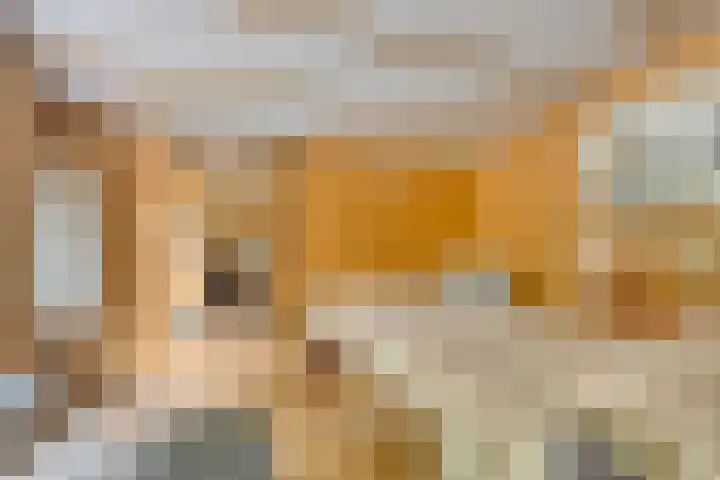 Maasdijk 17 Mijnsheerenland thumbnail 12