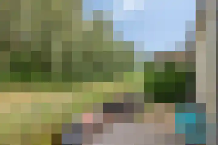 Maasdijk 17 Mijnsheerenland thumbnail 13