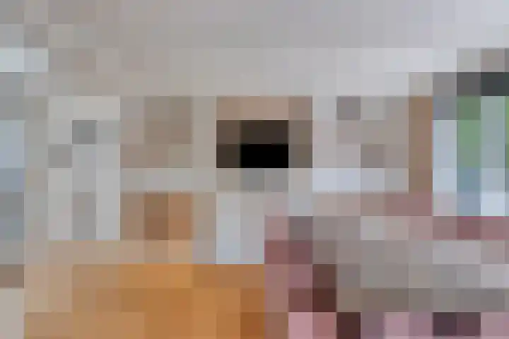 Maasdijk 17 Mijnsheerenland thumbnail 17