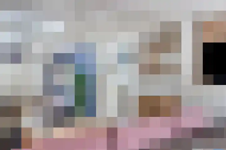 Maasdijk 17 Mijnsheerenland thumbnail 18