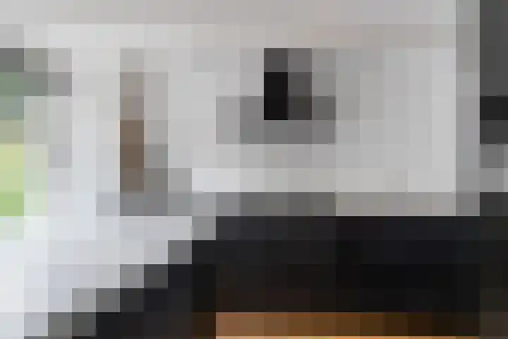 Maasdijk 17 Mijnsheerenland thumbnail 20