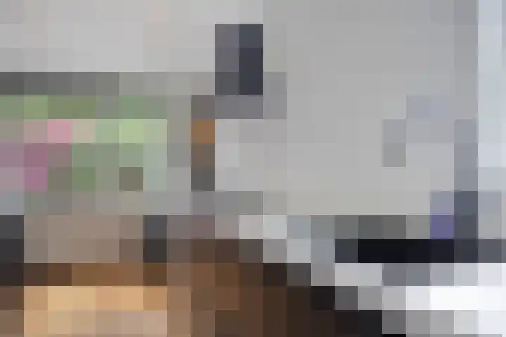 Maasdijk 17 Mijnsheerenland thumbnail 21