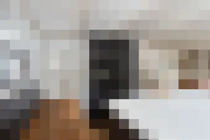 Maasdijk 17 Mijnsheerenland thumbnail 22