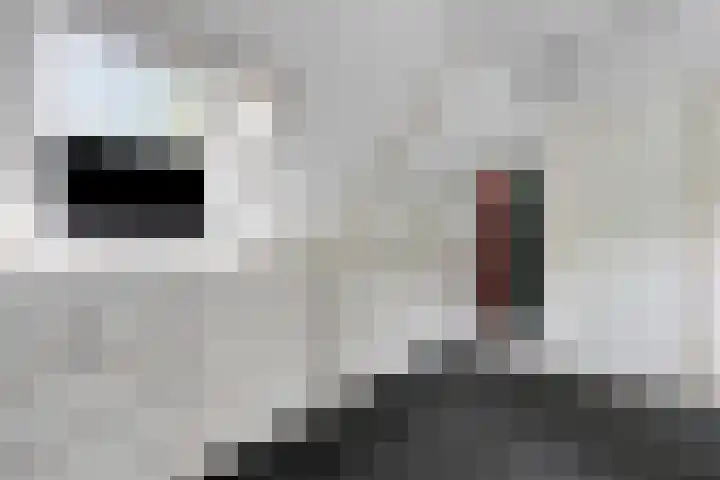 Maasdijk 17 Mijnsheerenland thumbnail 28