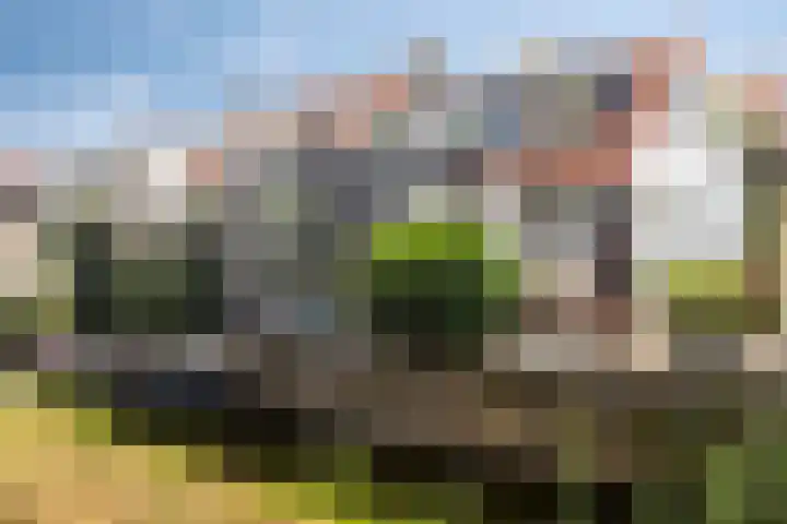 Maasdijk 17 Mijnsheerenland thumbnail 29