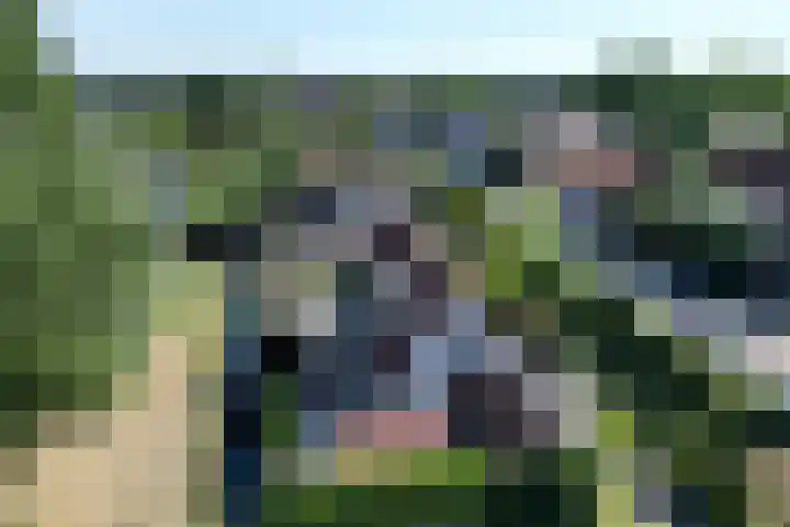 Maasdijk 17 Mijnsheerenland thumbnail 30