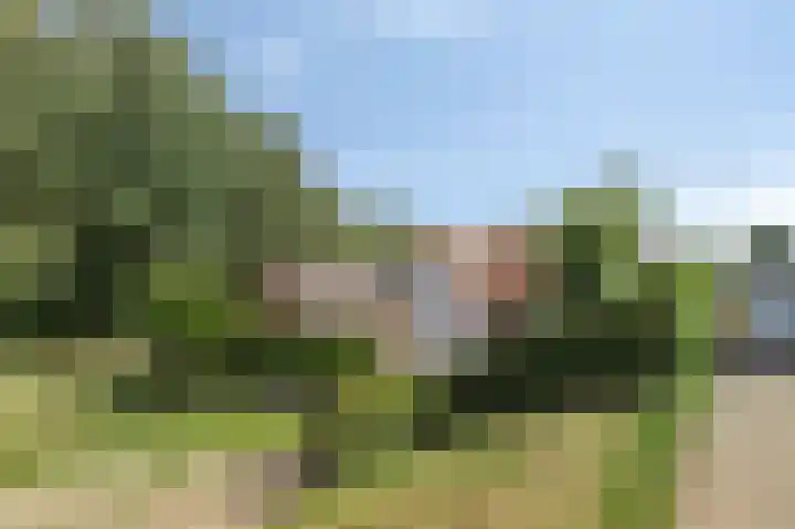 Maasdijk 17 Mijnsheerenland thumbnail 32