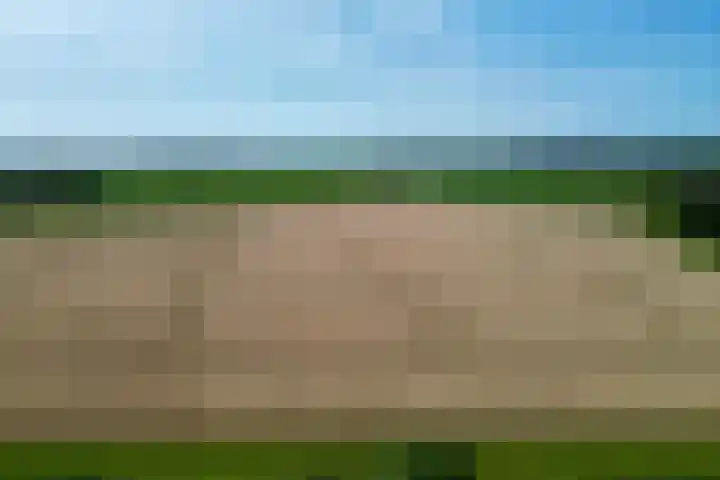 Maasdijk 17 Mijnsheerenland thumbnail 33
