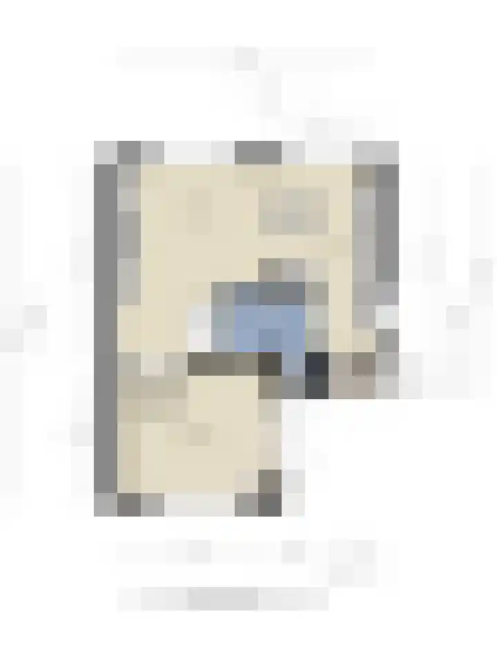 Maasdijk 17 Mijnsheerenland thumbnail 36