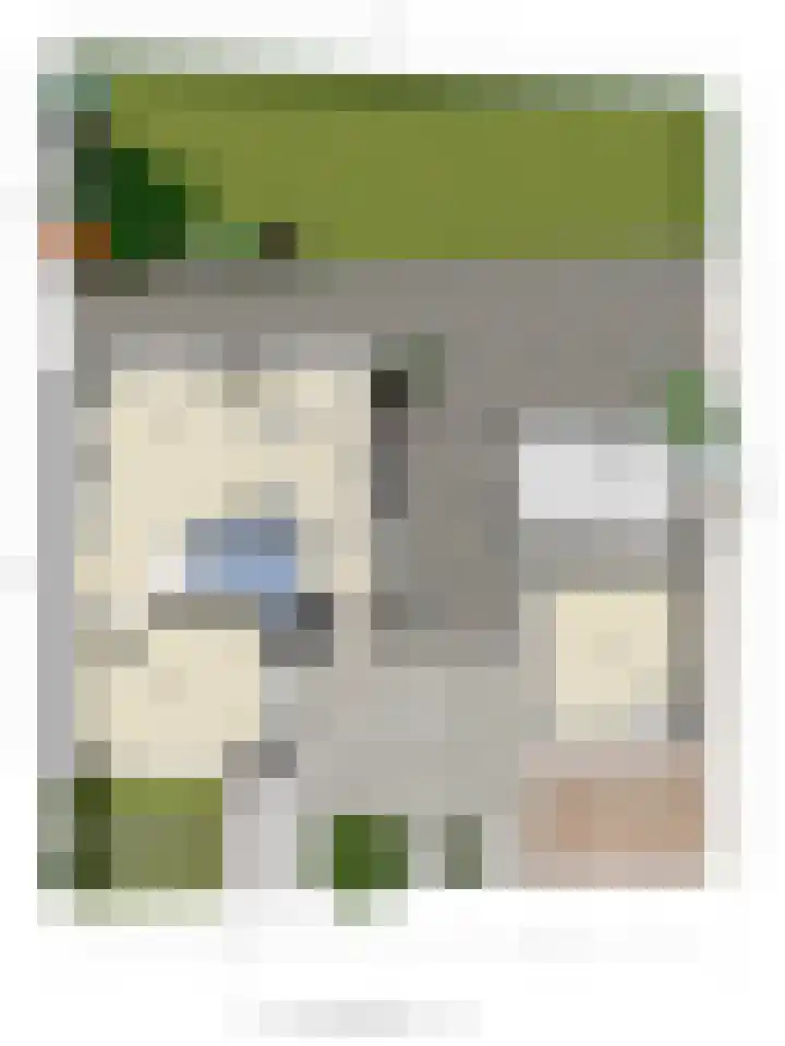 Maasdijk 17 Mijnsheerenland thumbnail 37