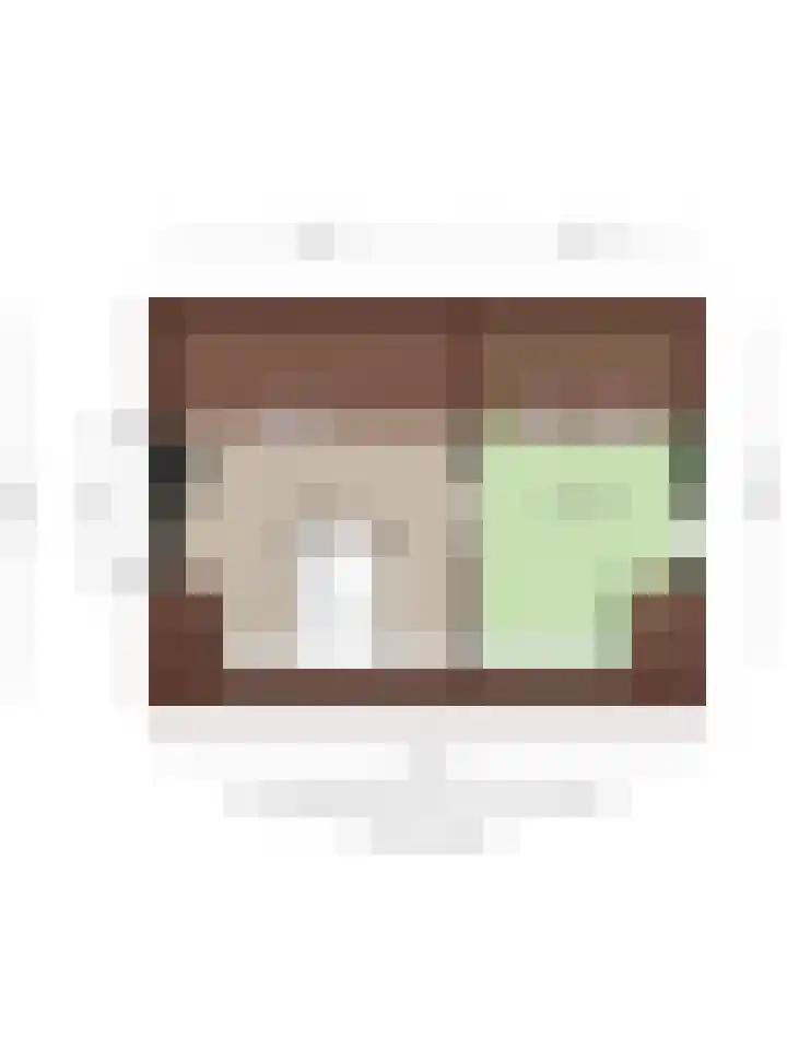 Maasdijk 17 Mijnsheerenland thumbnail 38