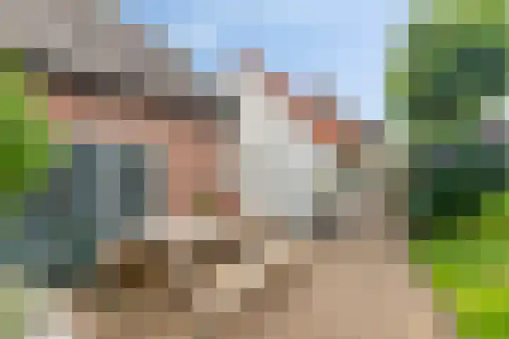 Maasdijk 17 Mijnsheerenland thumbnail 5