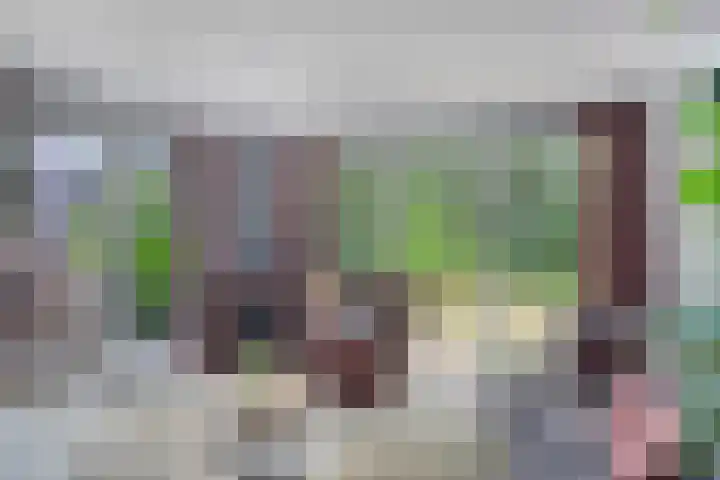 Maasdijk 17 Mijnsheerenland thumbnail 8