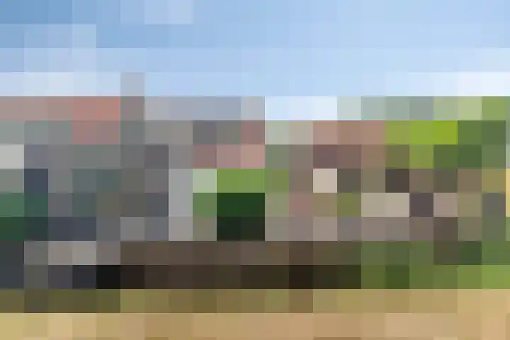 Maasdijk 17 Mijnsheerenland thumbnail 9
