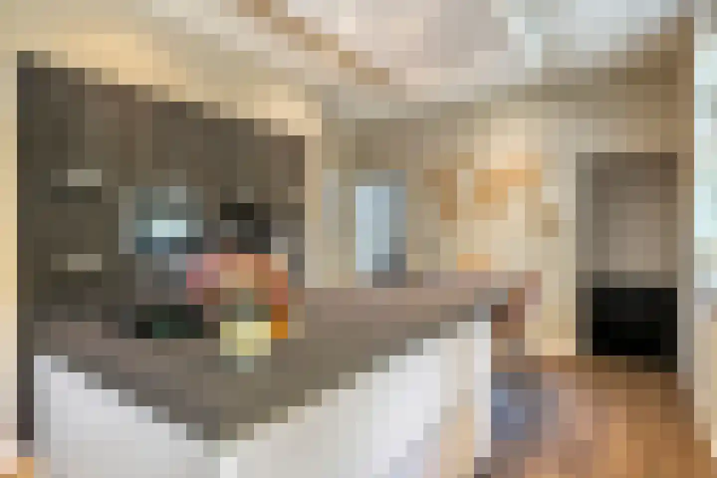 Maasdijk 17 Neerloon thumbnail 4