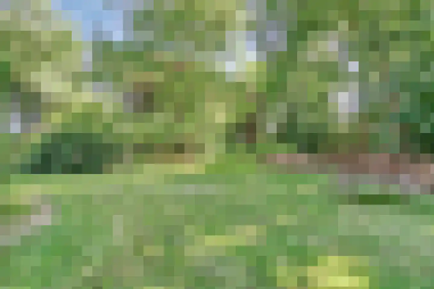 Maasdijk 17 Neerloon thumbnail 5