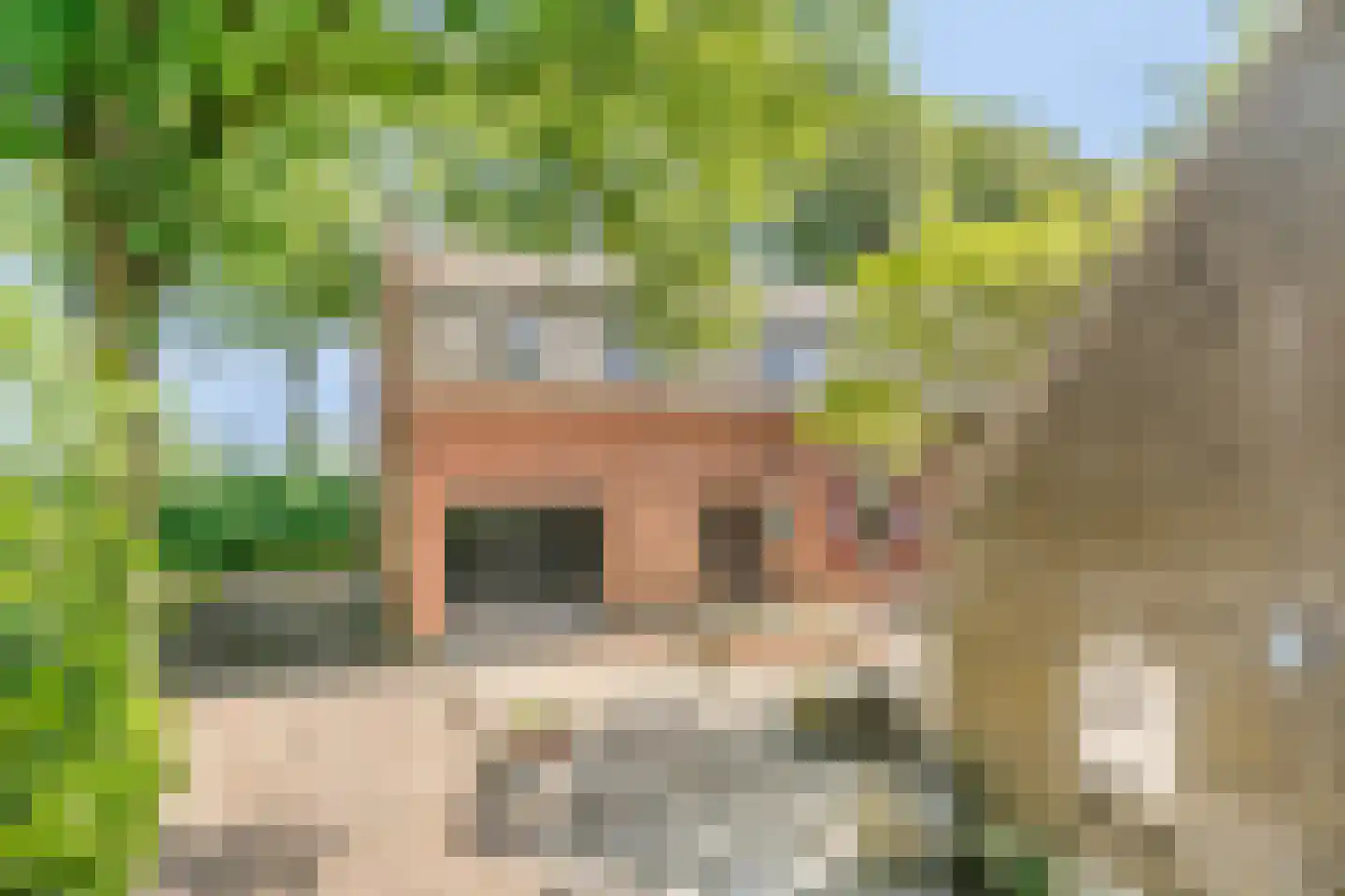 Maasdijk 17 Neerloon thumbnail 54