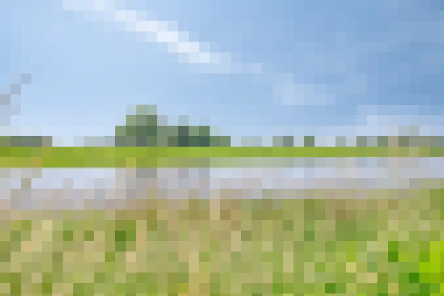 Maasdijk 17 Neerloon thumbnail 64