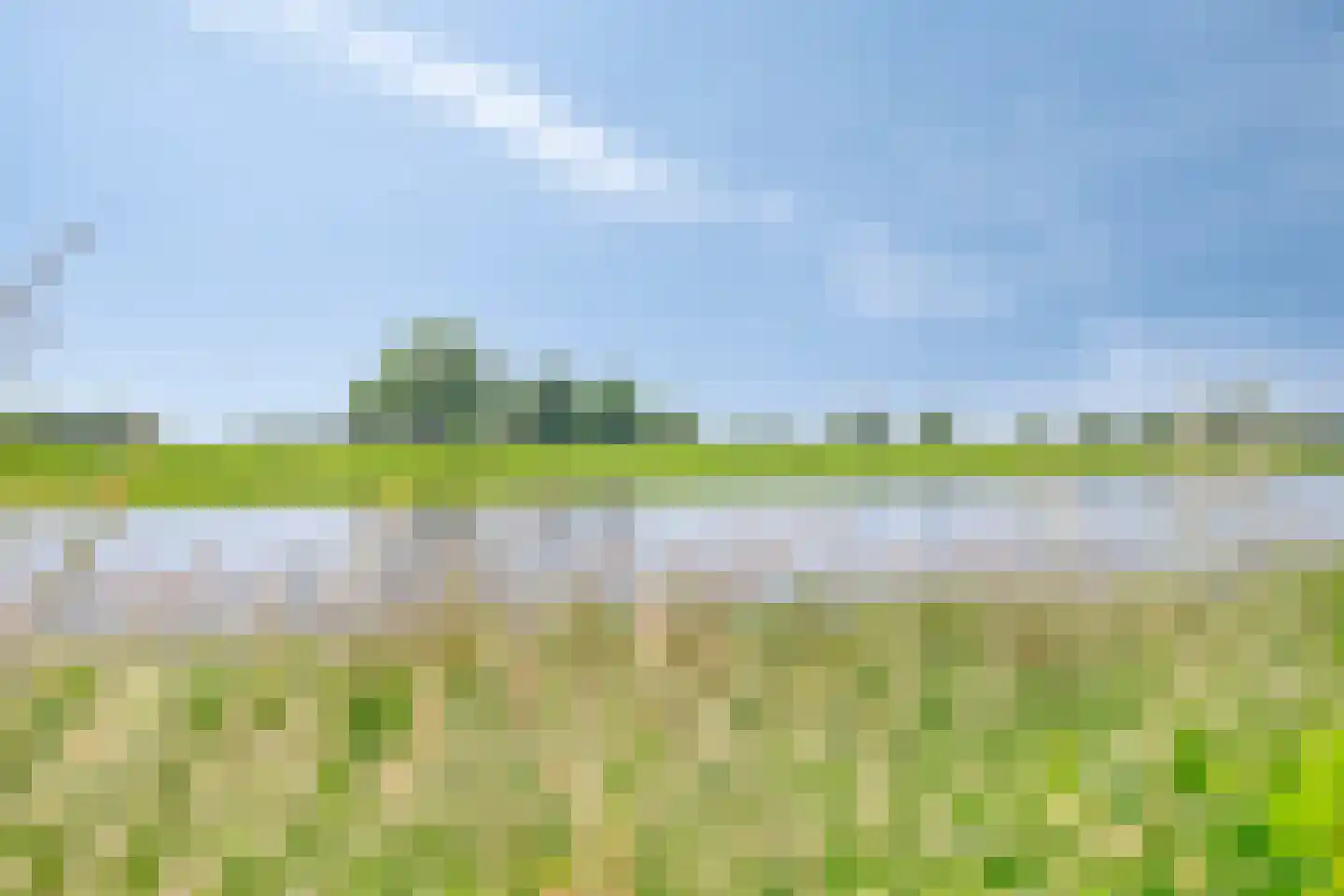 Maasdijk 17 Neerloon thumbnail 65