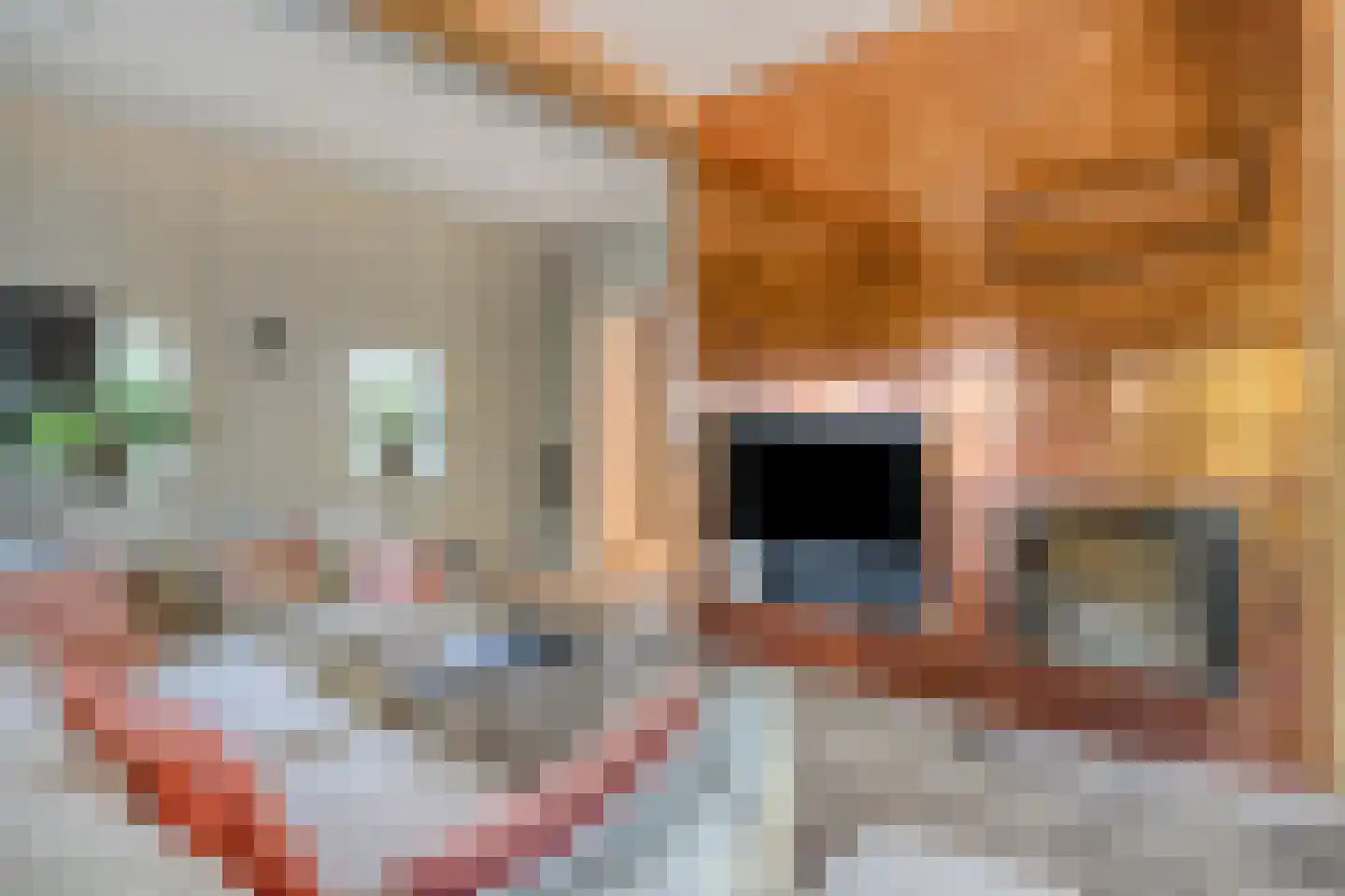 Maasdijk 17 Neerloon thumbnail 7
