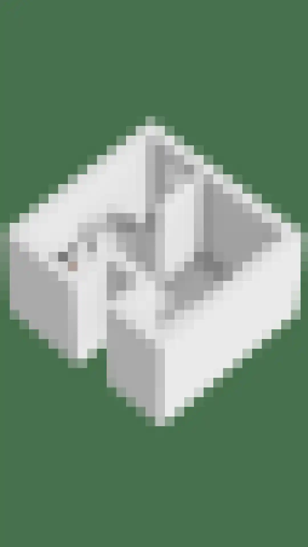 Maasdijk 17 Neerloon thumbnail 79