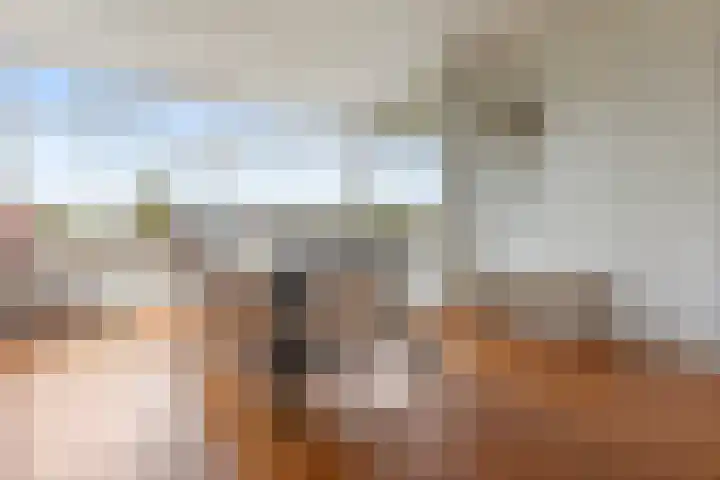 Maasdijk 18 Mook thumbnail 17