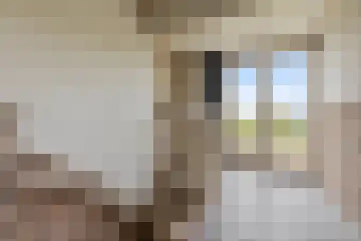 Maasdijk 18 Mook thumbnail 24