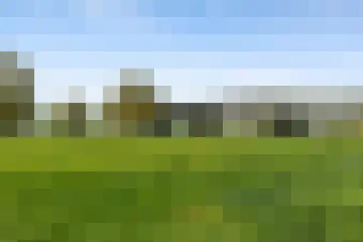 Maasdijk 18 Mook thumbnail 56