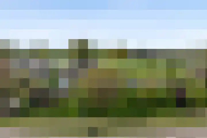 Maasdijk 18 Mook thumbnail 59