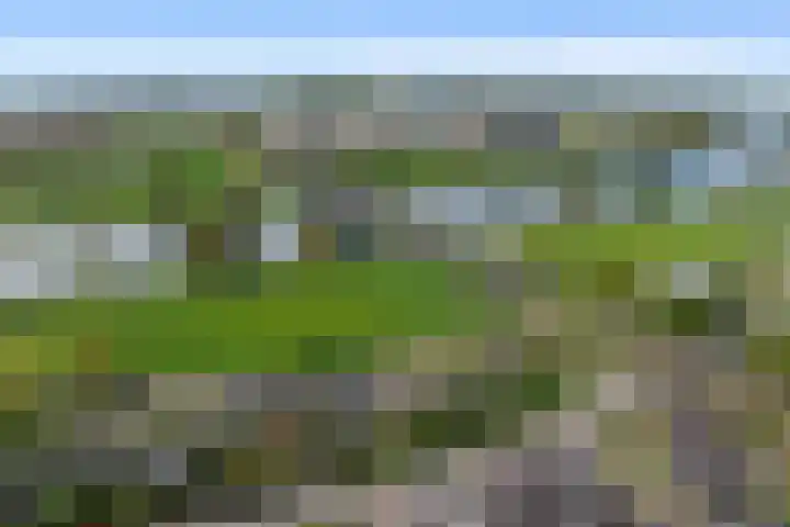 Maasdijk 18 Mook thumbnail 60