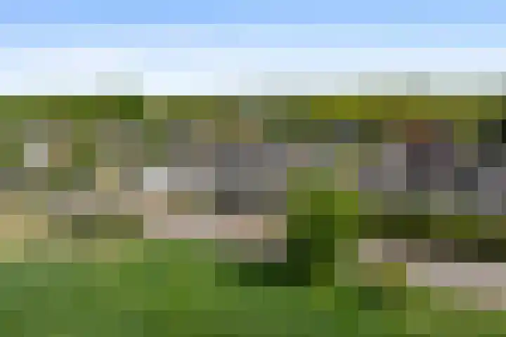 Maasdijk 18 Mook thumbnail 63