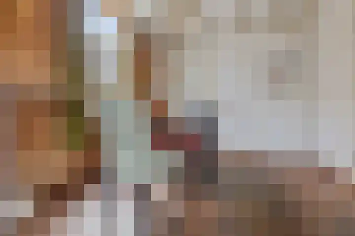 Maasdijk 18 Mook thumbnail 8