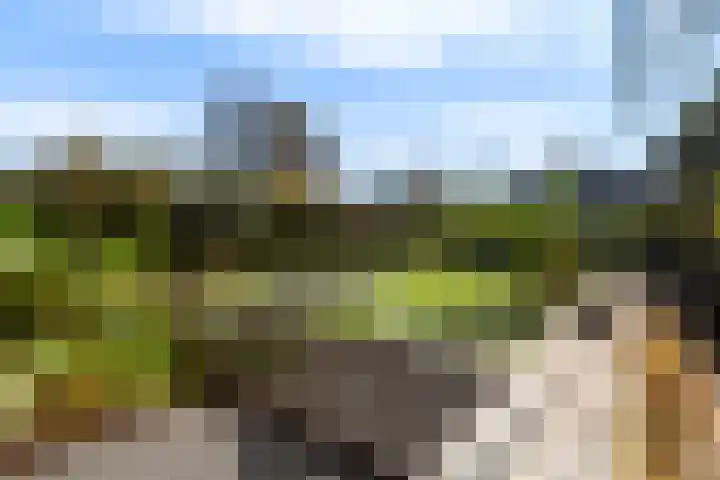 Maasdijk 182 Maasdijk thumbnail 22