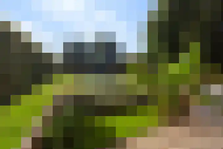 Maasdijk 182 Maasdijk thumbnail 23
