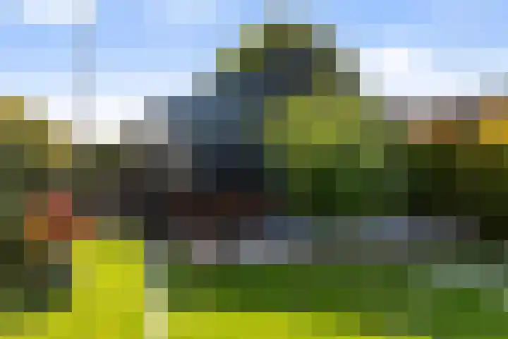 Maasdijk 182 Maasdijk thumbnail 25