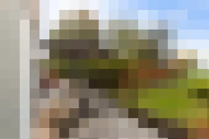 Maasdijk 182 Maasdijk thumbnail 30