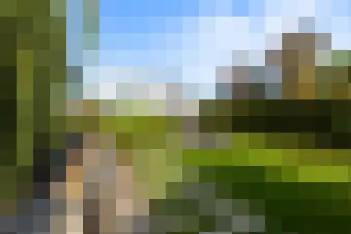 Maasdijk 182 Maasdijk thumbnail 4