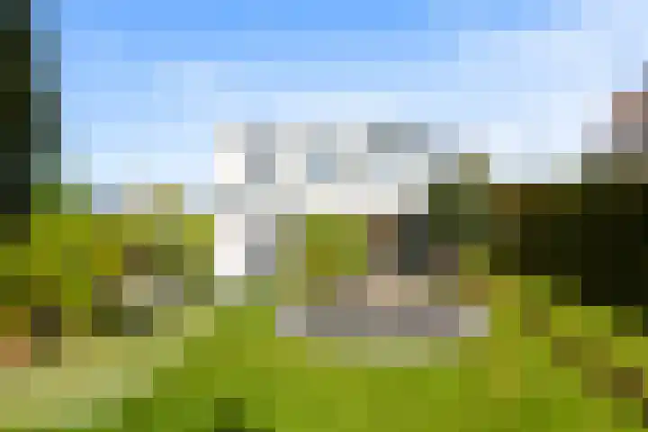 Maasdijk 182 Maasdijk thumbnail 5