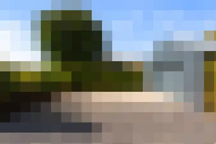 Maasdijk 182 Maasdijk thumbnail 56