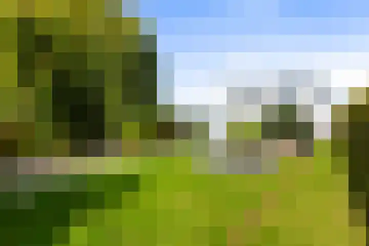 Maasdijk 182 Maasdijk thumbnail 6