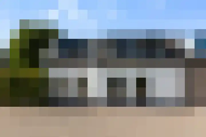 Maasdijk 182 Maasdijk thumbnail 60