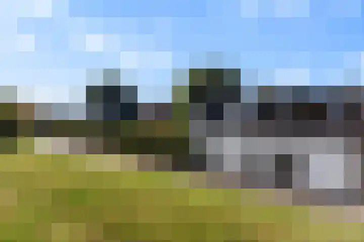 Maasdijk 182 Maasdijk thumbnail 61