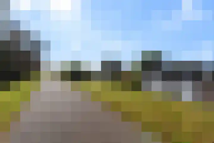 Maasdijk 182 Maasdijk thumbnail 62