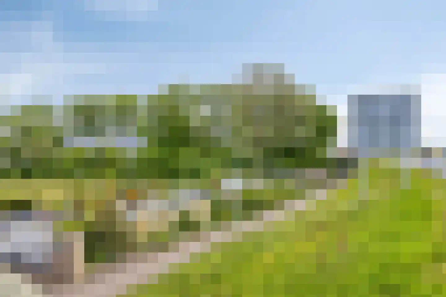 Maasdijk 187 's-Gravenzande thumbnail 38