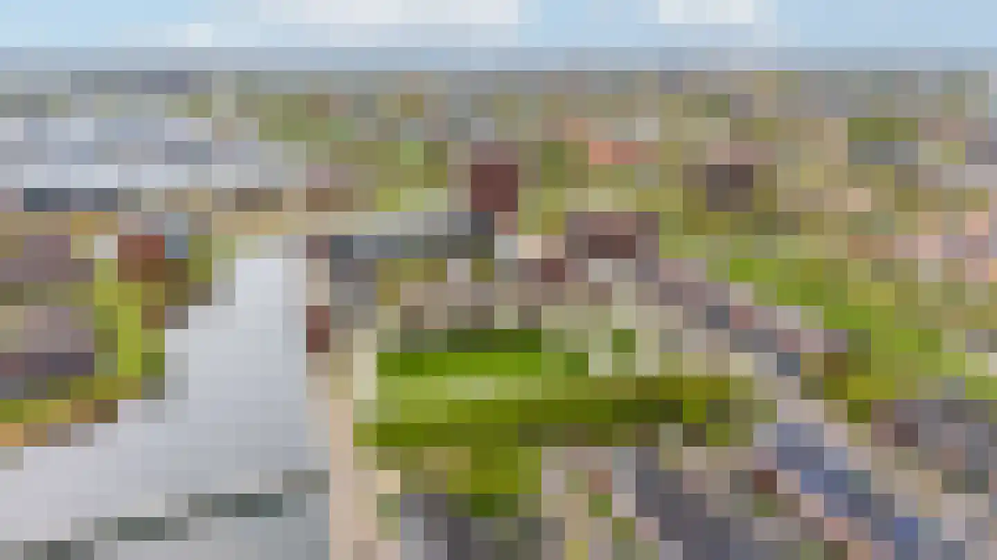 Maasdijk 188 Breda thumbnail 39