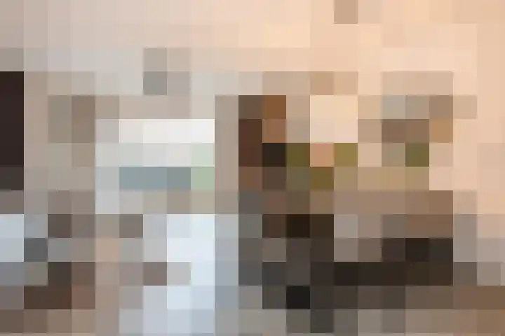 Maasdijk 2 b Heerewaarden thumbnail 16