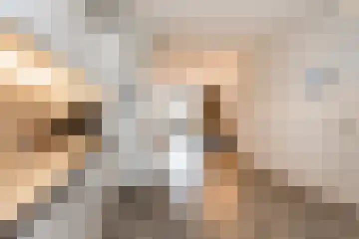 Maasdijk 2 b Heerewaarden thumbnail 21