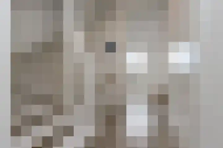 Maasdijk 2 b Heerewaarden thumbnail 24