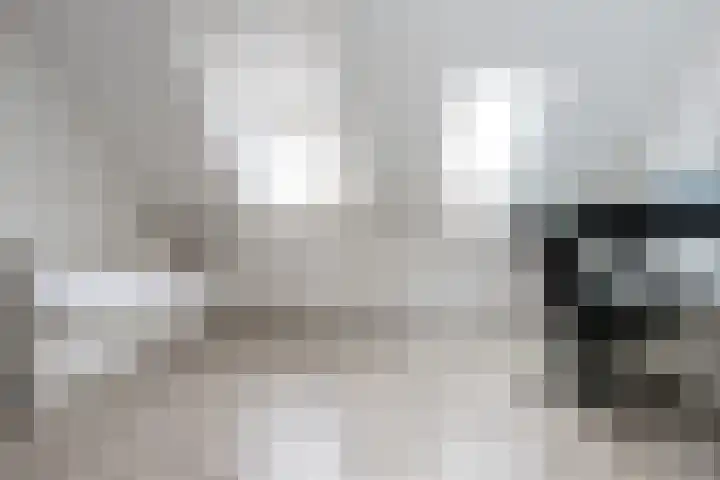 Maasdijk 2 b Heerewaarden thumbnail 28