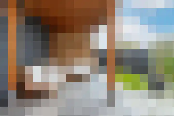 Maasdijk 2 b Heerewaarden thumbnail 38